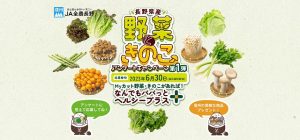 長野県産野菜ときのこキャンペーン